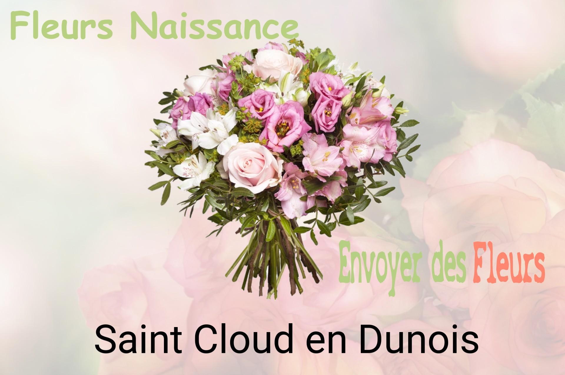 Bouquet de fleurs de naissance livré à Saint-Cloud-en-Dunois